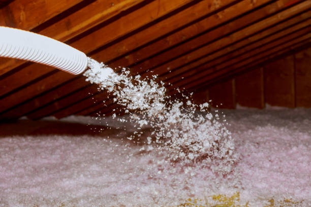 Best Insulation Maintenance and Repair in Wayzata, MN