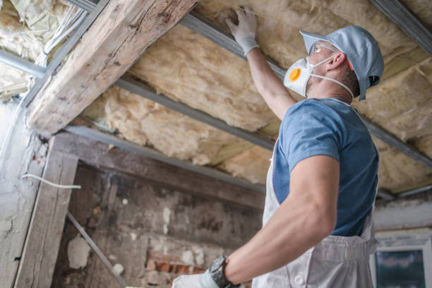 Best Types of Insulation in Wayzata, MN