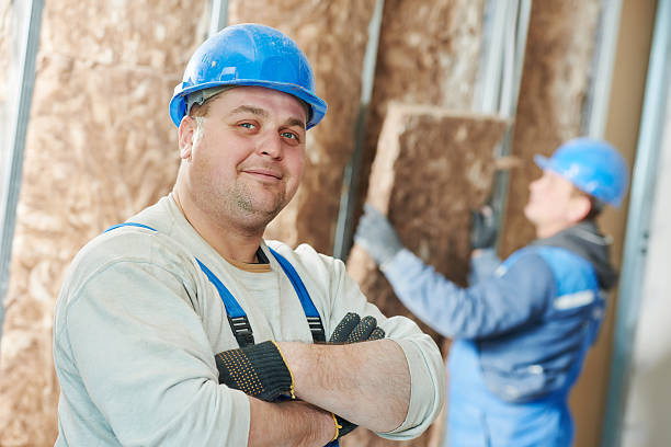 Best Insulation Installation Services in Wayzata, MN
