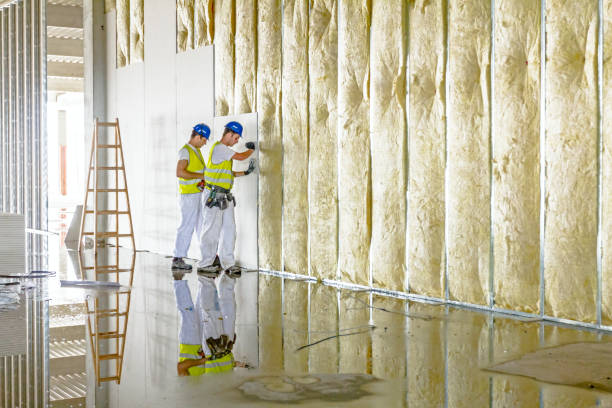 Types of Insulation We Offer in MN